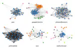 DiaWUG: A Dataset for Diatopic Lexical Semantic Variation in Spanish